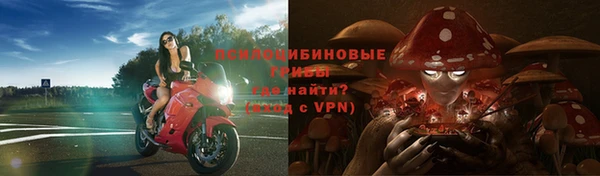 MDMA Premium VHQ Горнозаводск