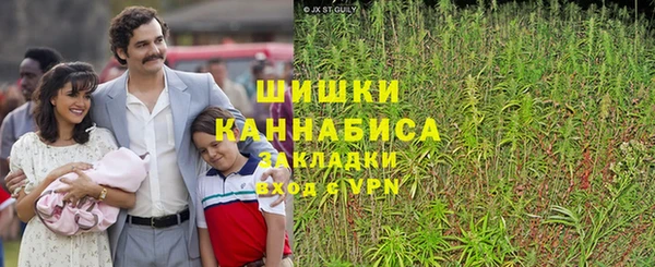 тгк Горно-Алтайск