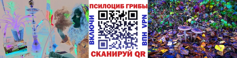 Псилоцибиновые грибы Magic Shrooms  кракен ССЫЛКА  Донецк 