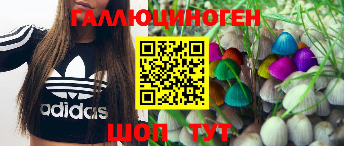 Псилоцибиновые грибы Magic Shrooms  Галлюциногенные грибы Magic Shrooms  Вход с VPN  Донецк 